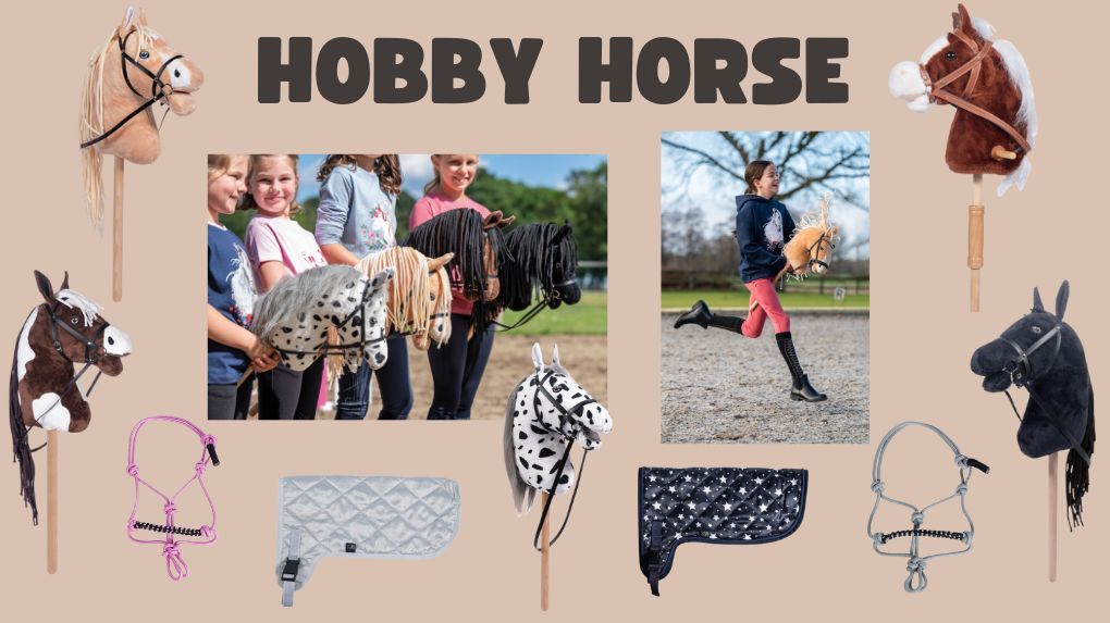 Hobby Horse - Horze